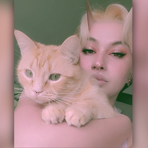 Meet your Posher, Skyler - Picture 1 of 1